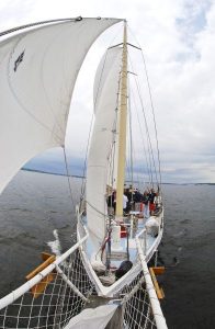 3 Reasons to Take a Day Sail in Cape Cod Aboard the The Liberté 