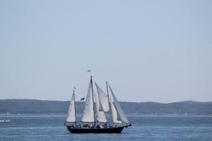 Cape Cod Daysails