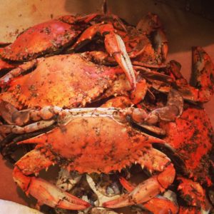 Experience the Best of Maryland Steamed Crabs from Your Annapolis Sail Aboard The Liberte!